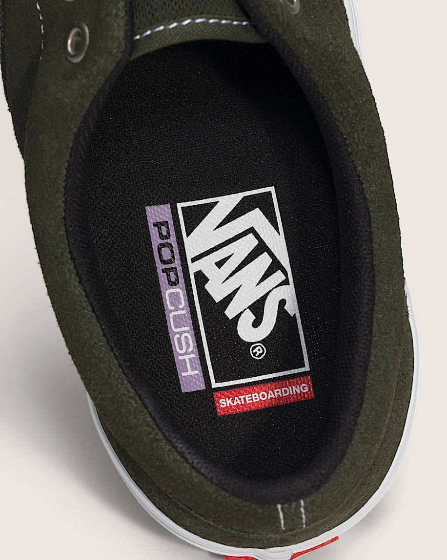 Vans Skate Era Obsidian Fern 110M