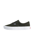 Vans Skate Era Obsidian Fern 100M