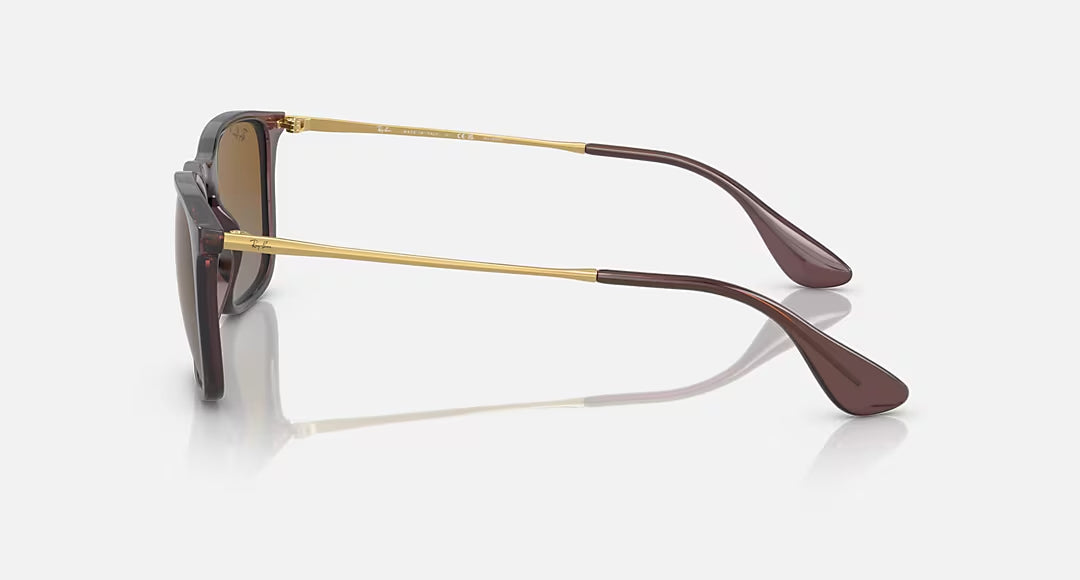 Ray-Ban Chris Polarized Sunglasses TransparentBrown GreyGradient