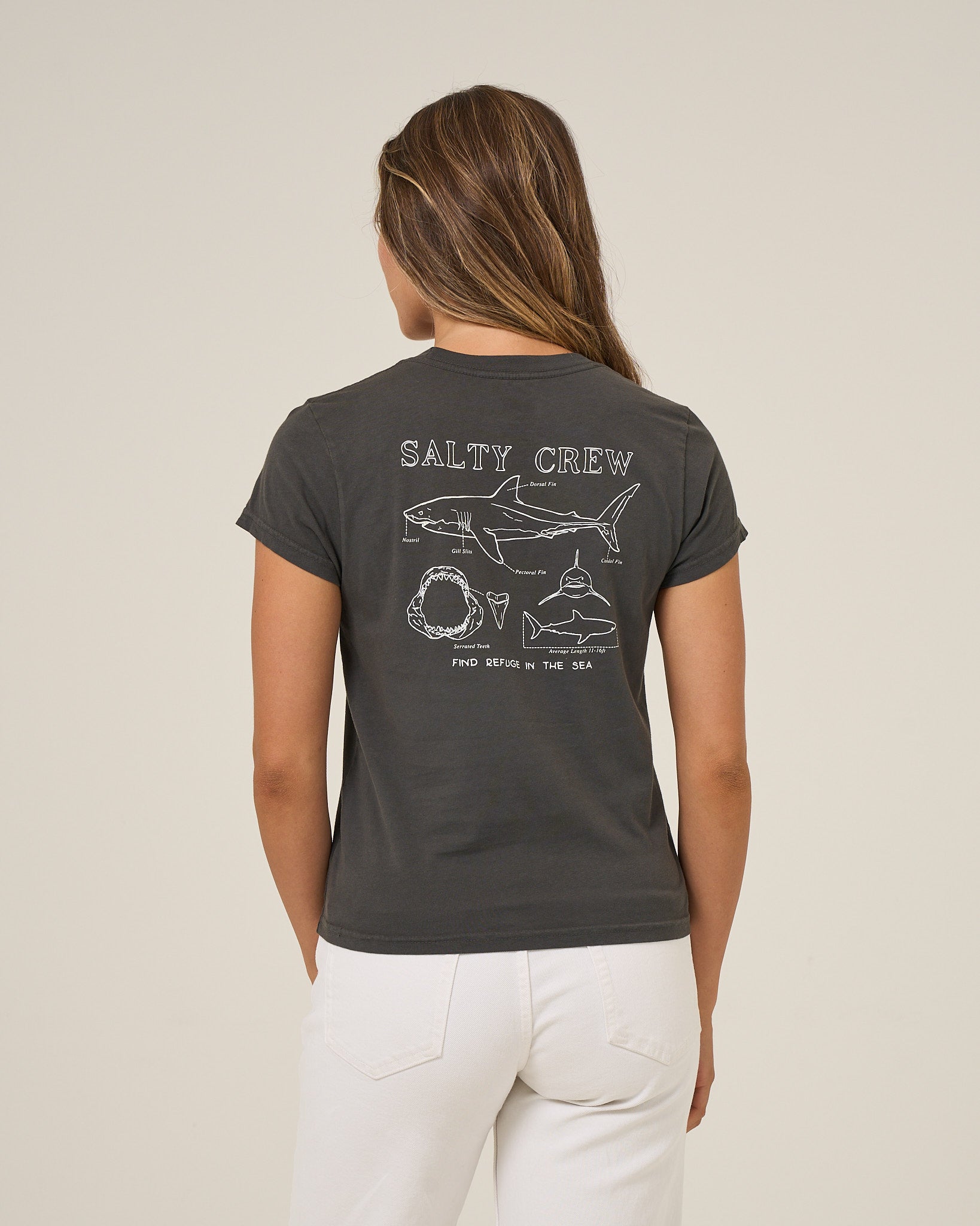 Salty Crew SHARK ANATOMY MODERN TEE - Shirt Charcoal L