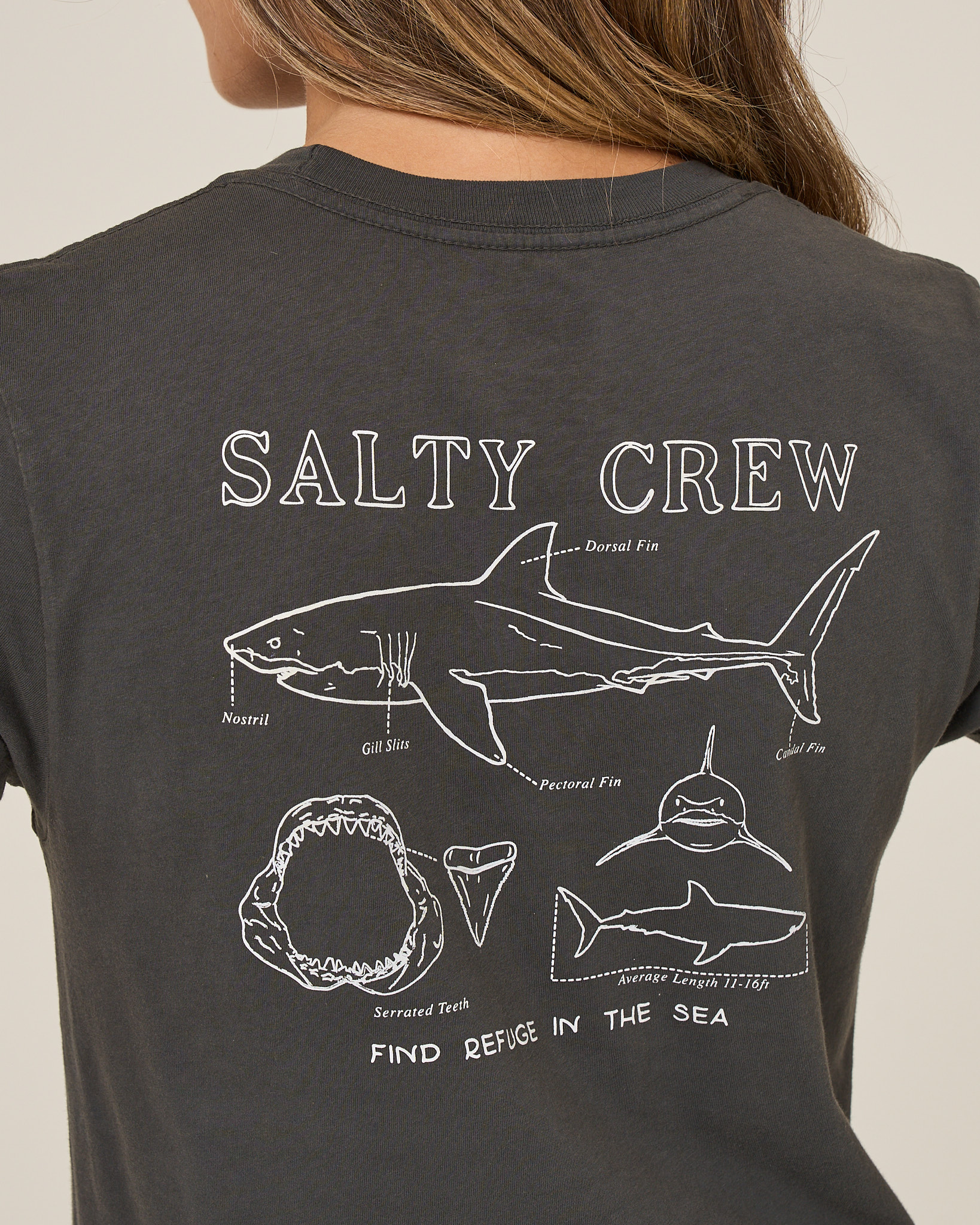 Salty Crew SHARK ANATOMY MODERN TEE - Shirt Charcoal S