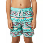 Party Pants Fiesta Stripe Boys Trunks MINT L