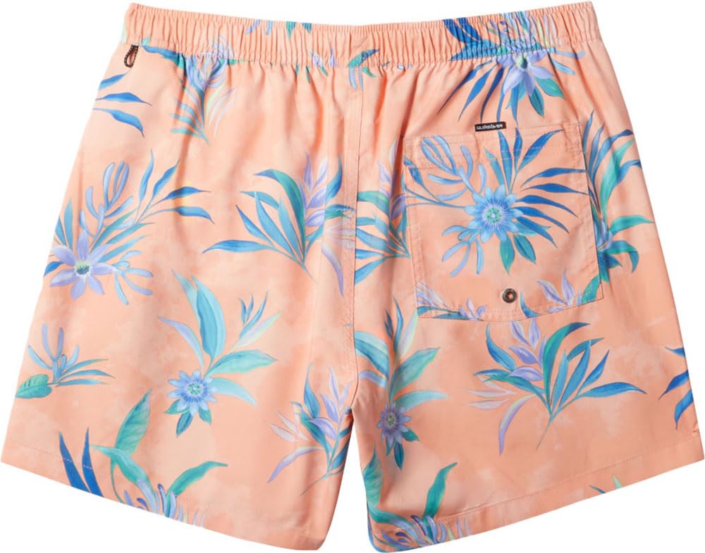 Quiksilver Everyday Mix Volley MFQ7 L