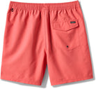 Quiksilver Everyday Solid Volley 15  DUB-DUBARRY L