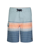 Billabong Boys Boardshorts DustyBlue 29