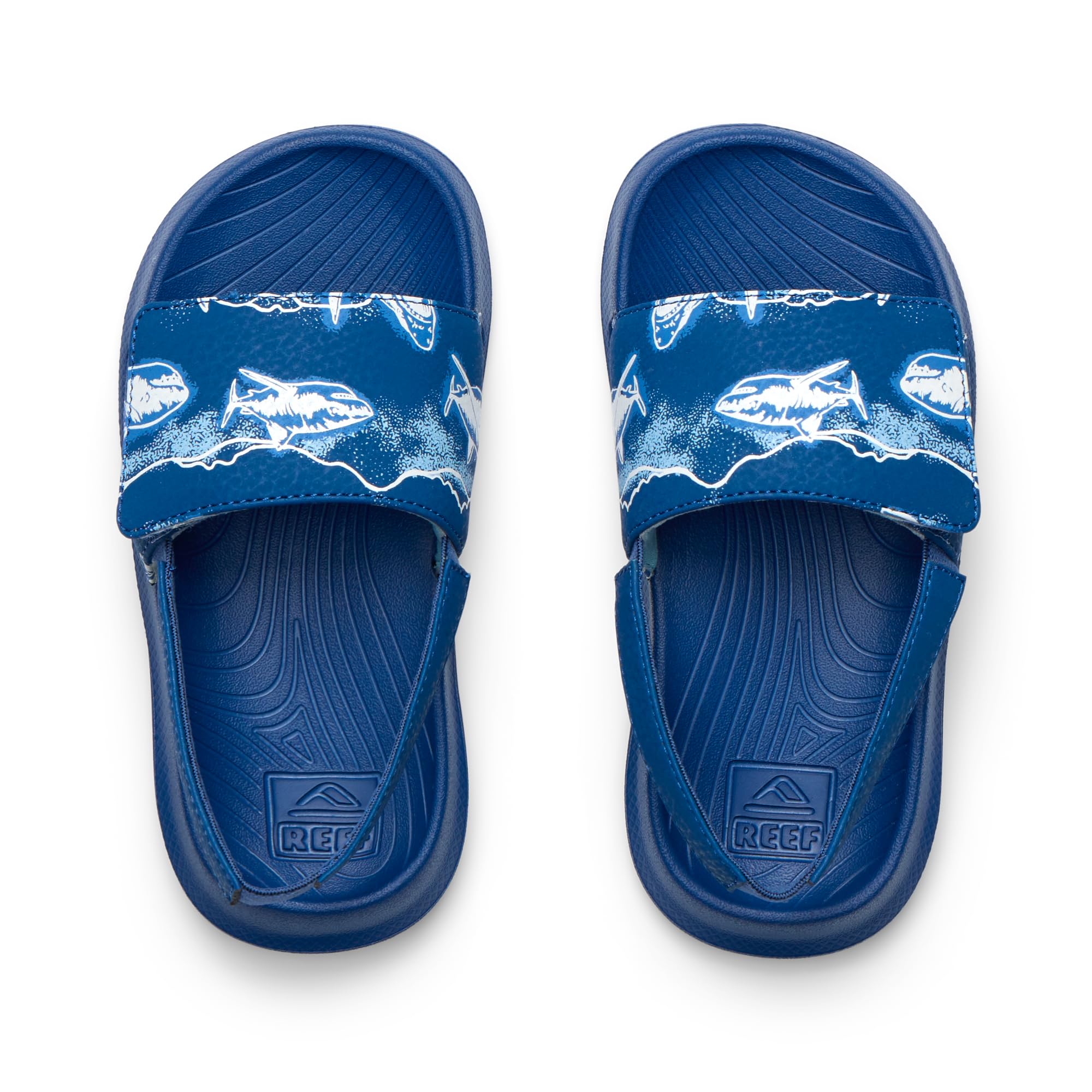 Reef Little Salty Boys Slide Royal Sharks 6 C