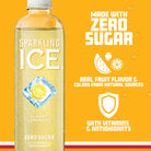 Sparkling Ice Water Lemonade 17 FL OZ