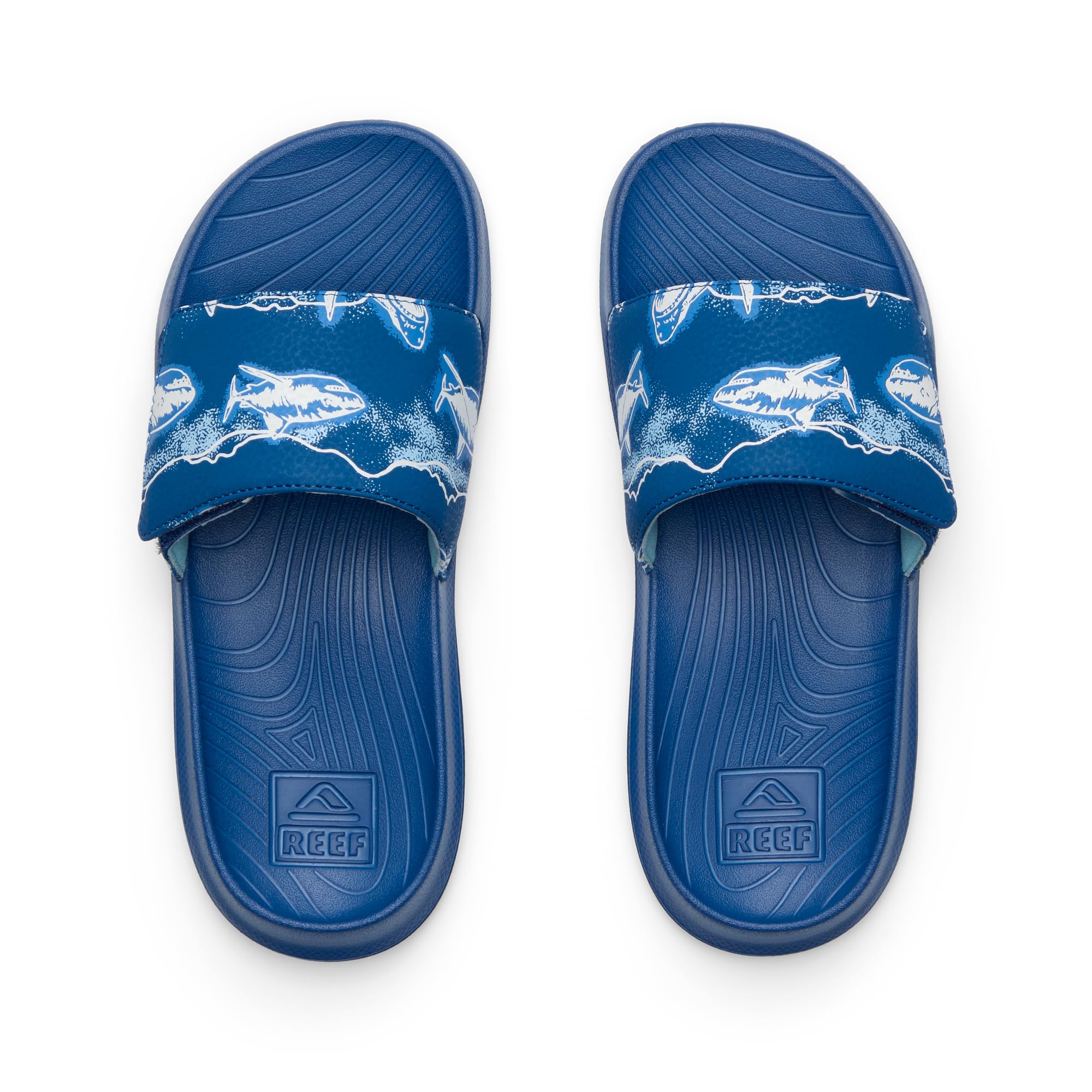 Reef Kids Salty Boys Slide Royal Sharks 5 Y
