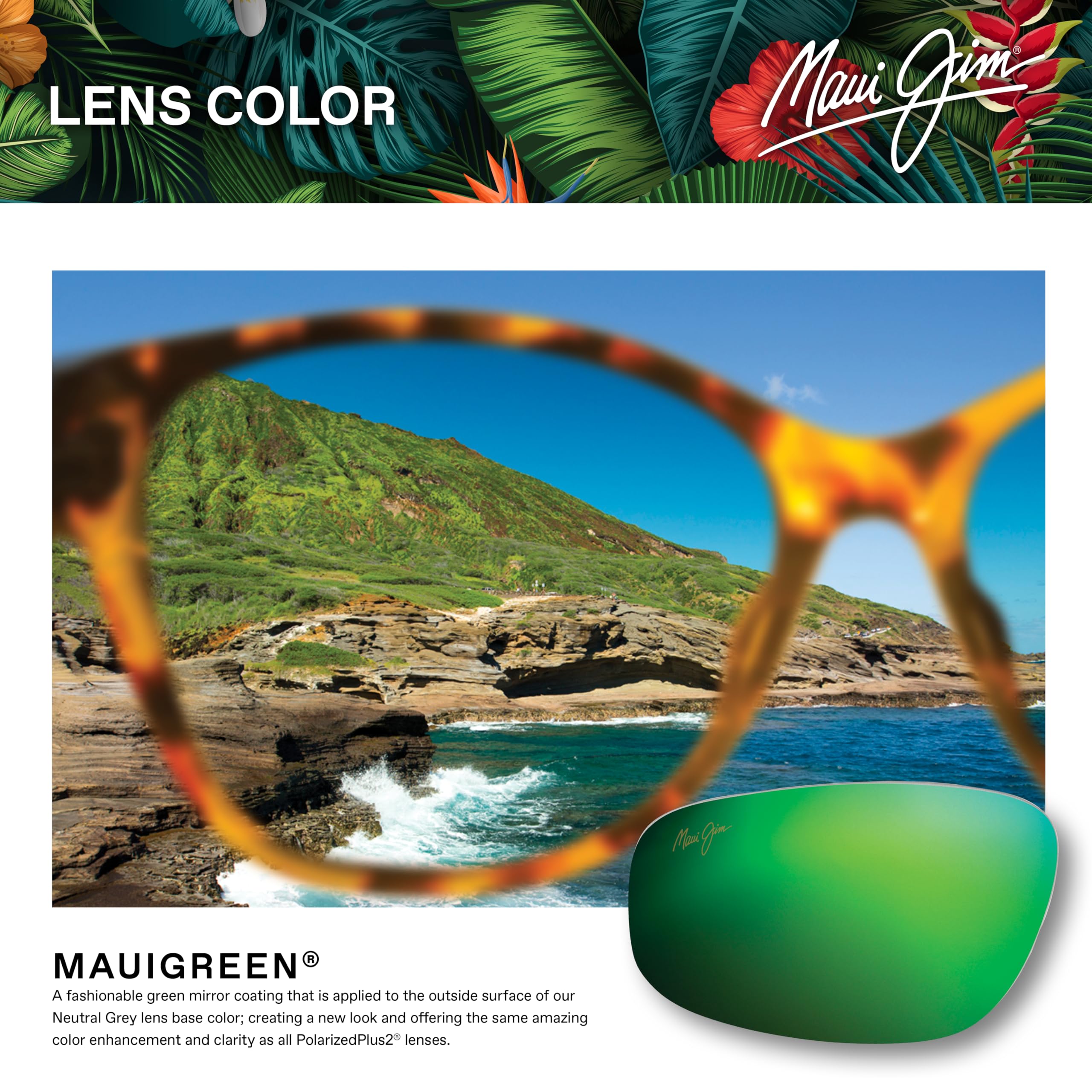 Maui Jim Mangroves Polarized Sunglasses DkGreyw/gryint MauiGreen