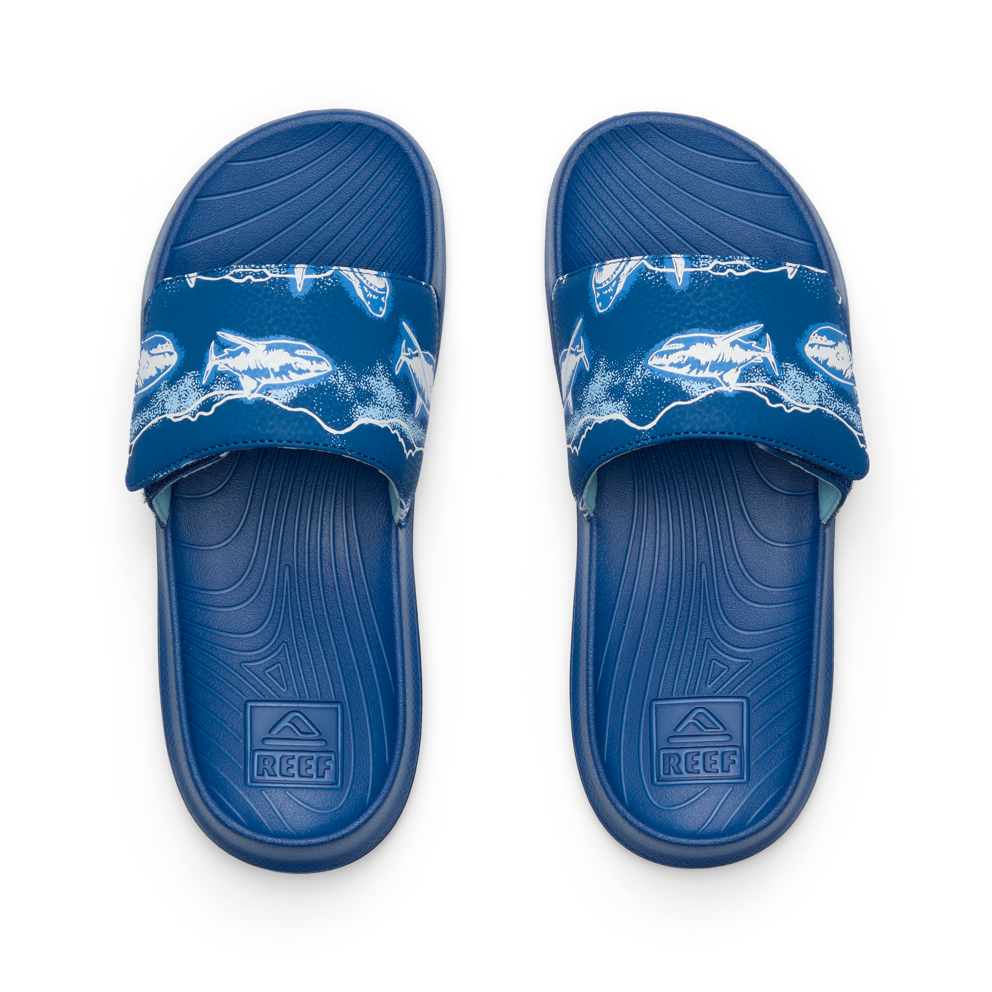 Reef Kids Salty Boys Slide Royal Sharks 1 Y