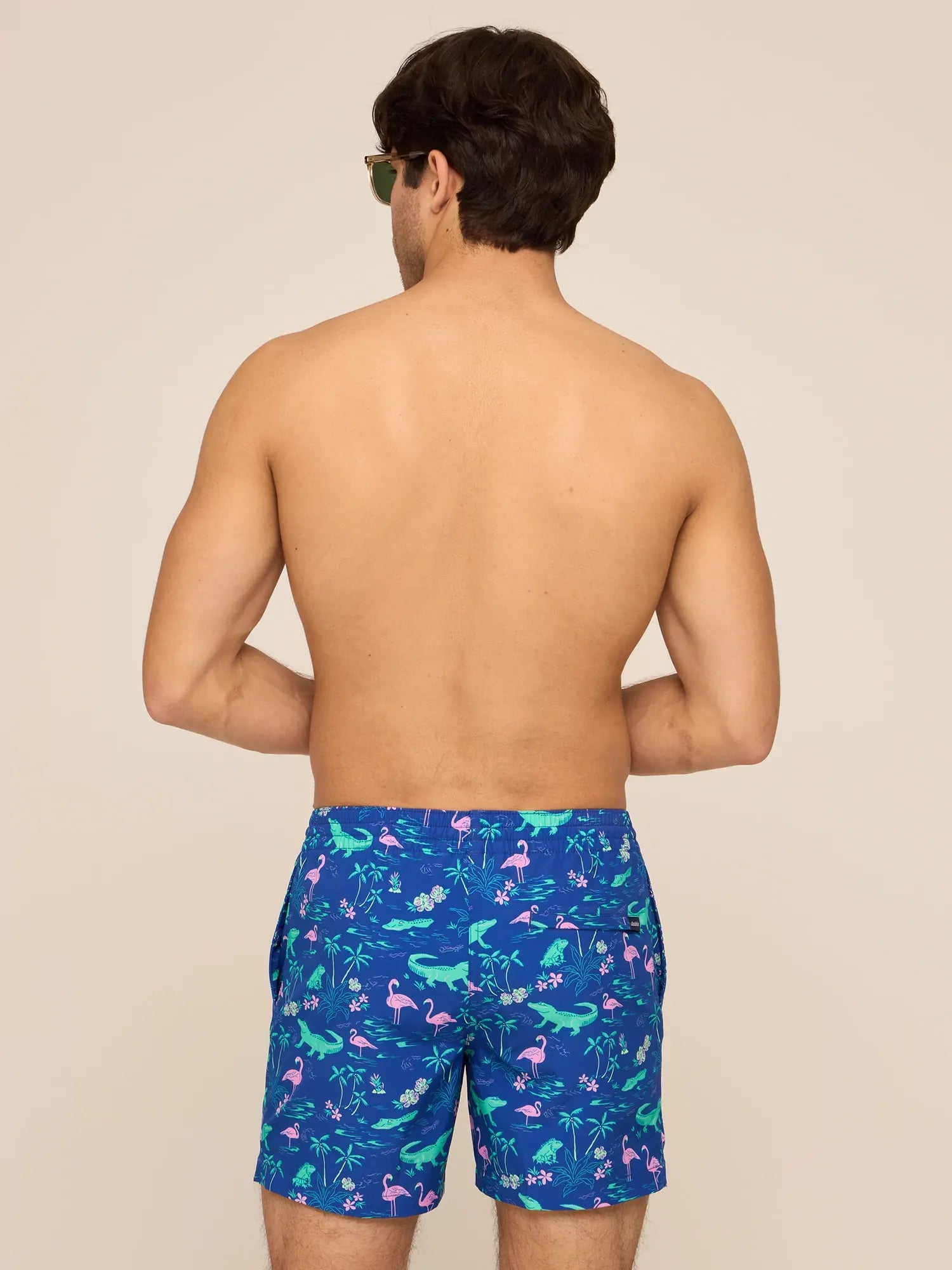 Chubbies Lined Classic Swim Trunk 5.5" The Swamp & Circumstances S