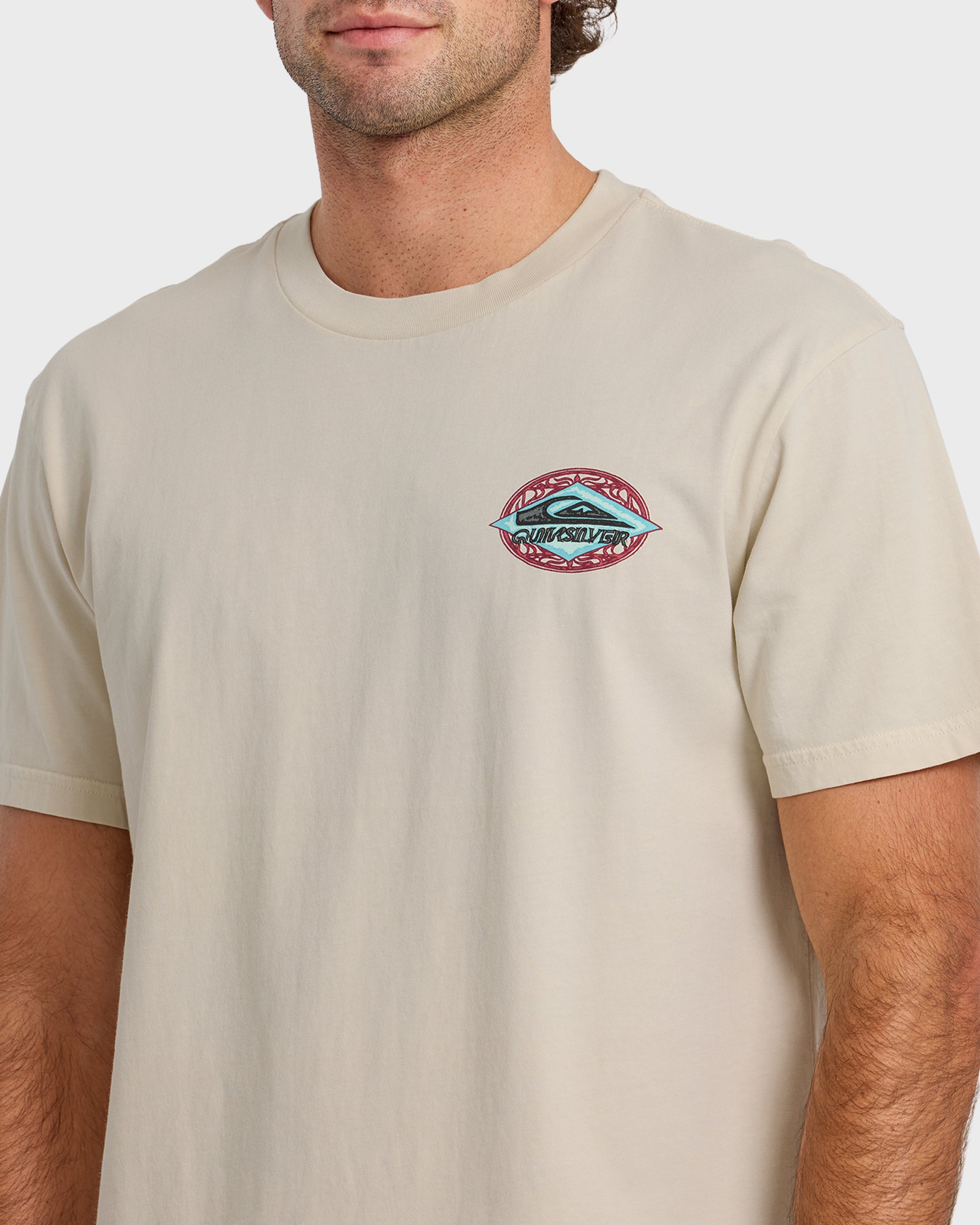 Quiksilver Foil Stamp Pigment-Dyed SS Tee SLR-SILVER BIRCH XL