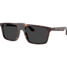 Ray-Ban 0RB2222 polarized Sunglasses Havana Black
