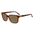 Knockaround Day Trips Polarized Sunglass  TortoiseShell-Amber