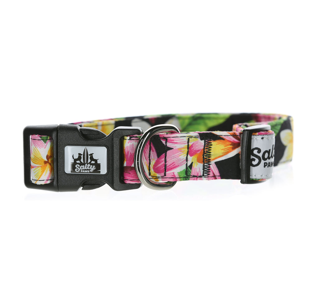 Salty Paws Surfing Dog Collar | Designs for Beach Dogs,  Floral, Fishing, Surfing, Hawaiian,  Black Floral L