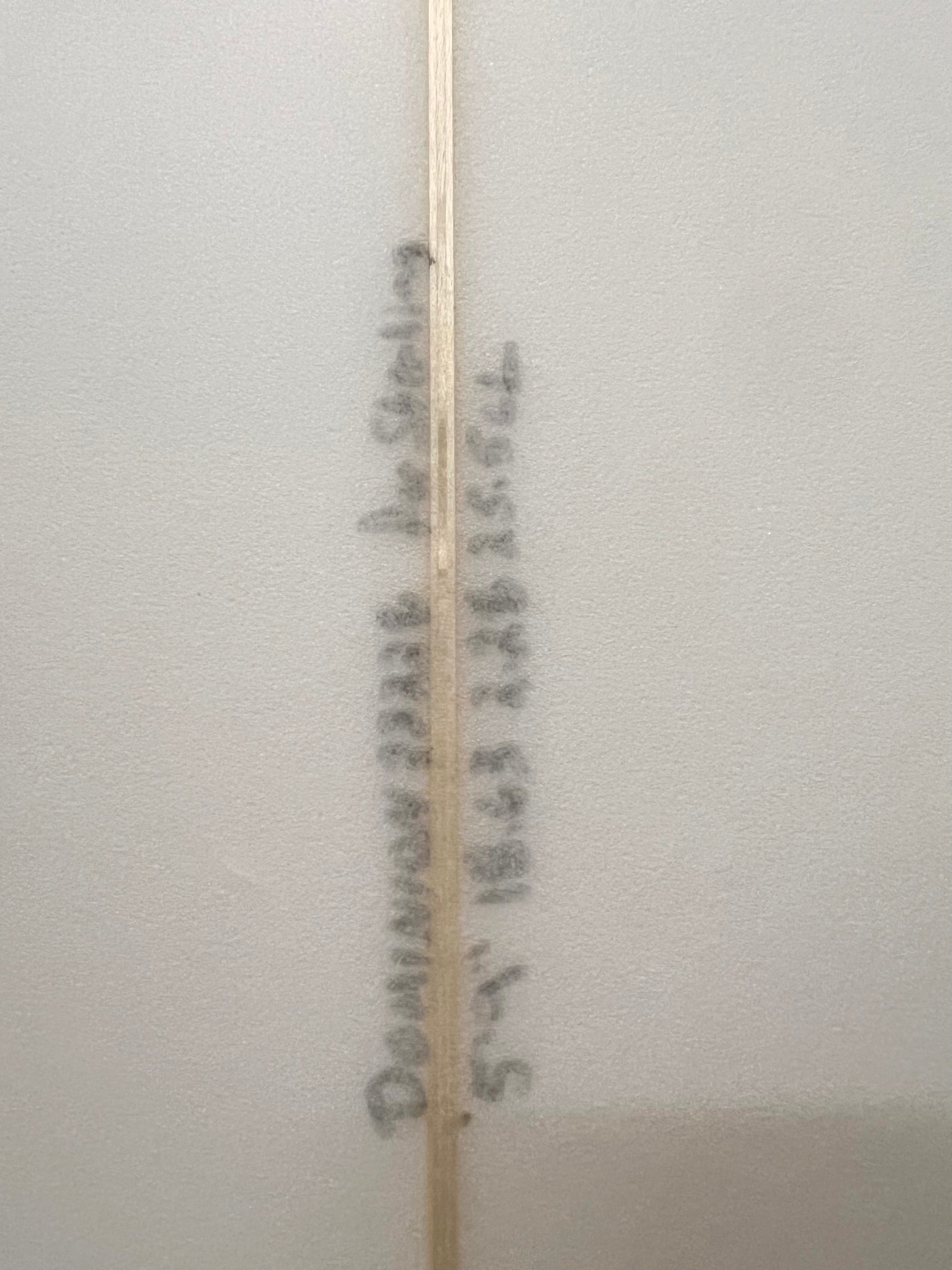 5ft9in Dominion, Consignment