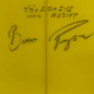 5ft8in Quiet Flight Stingfish Consignment