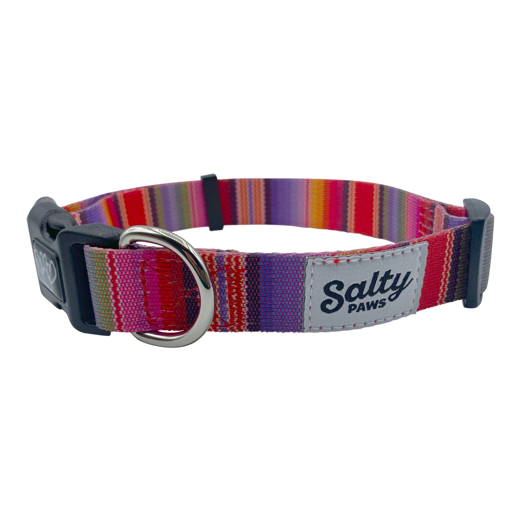 Salty Paws Surfing Dog Collar | Designs for Beach Dogs,  Floral, Fishing, Surfing, Hawaiian,  Baja S