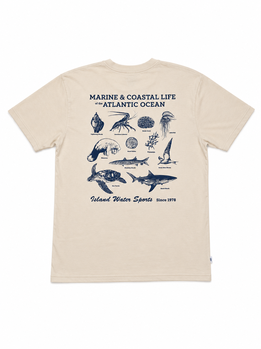 IWS Marine Life SS Tee Delray XXL