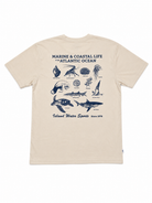 IWS Marine Life SS Tee Delray XXL
