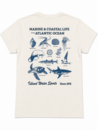 IWS Marine Life SS Tee DFB M