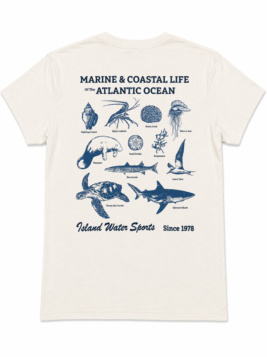 IWS Marine Life SS Tee DFB XXL