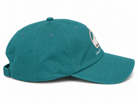 IWS Script Logo Dad Hat Dolphins OS