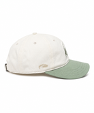 IWS Slow Down Manatee Dad Hat Sage-Cream OS