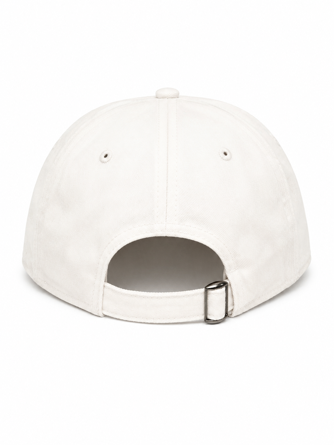 IWS Slow Down Manatee Dad Hat Sage-Cream OS