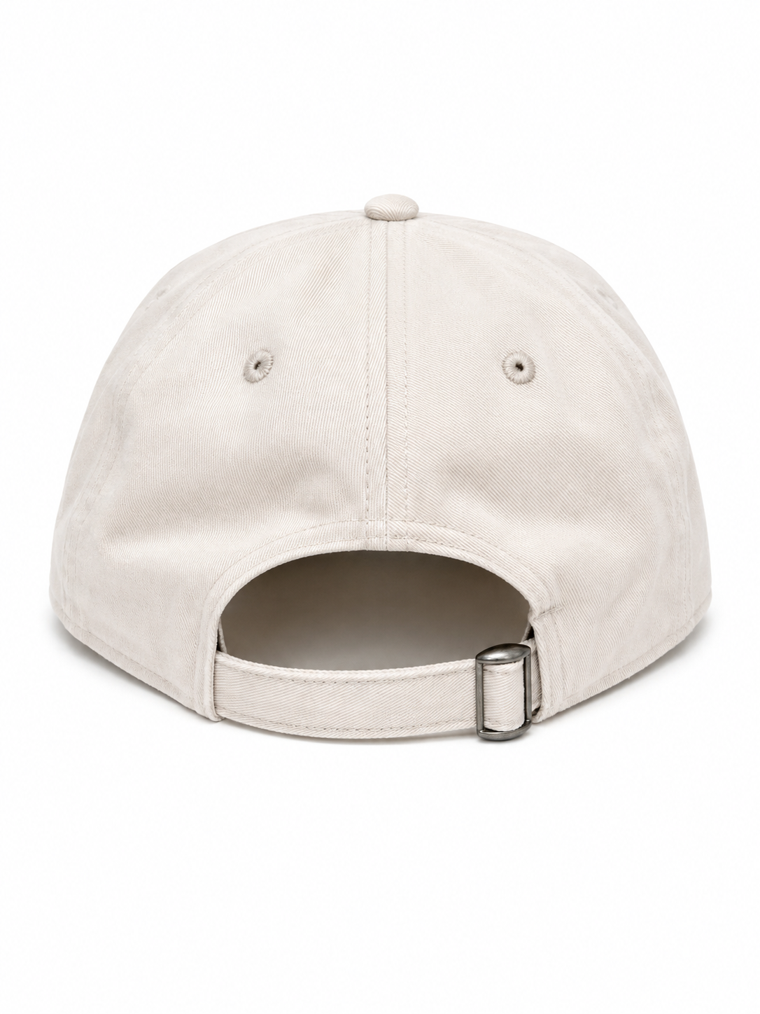 IWS Slow Down Manatee Dad Hat Stone-Cord OS