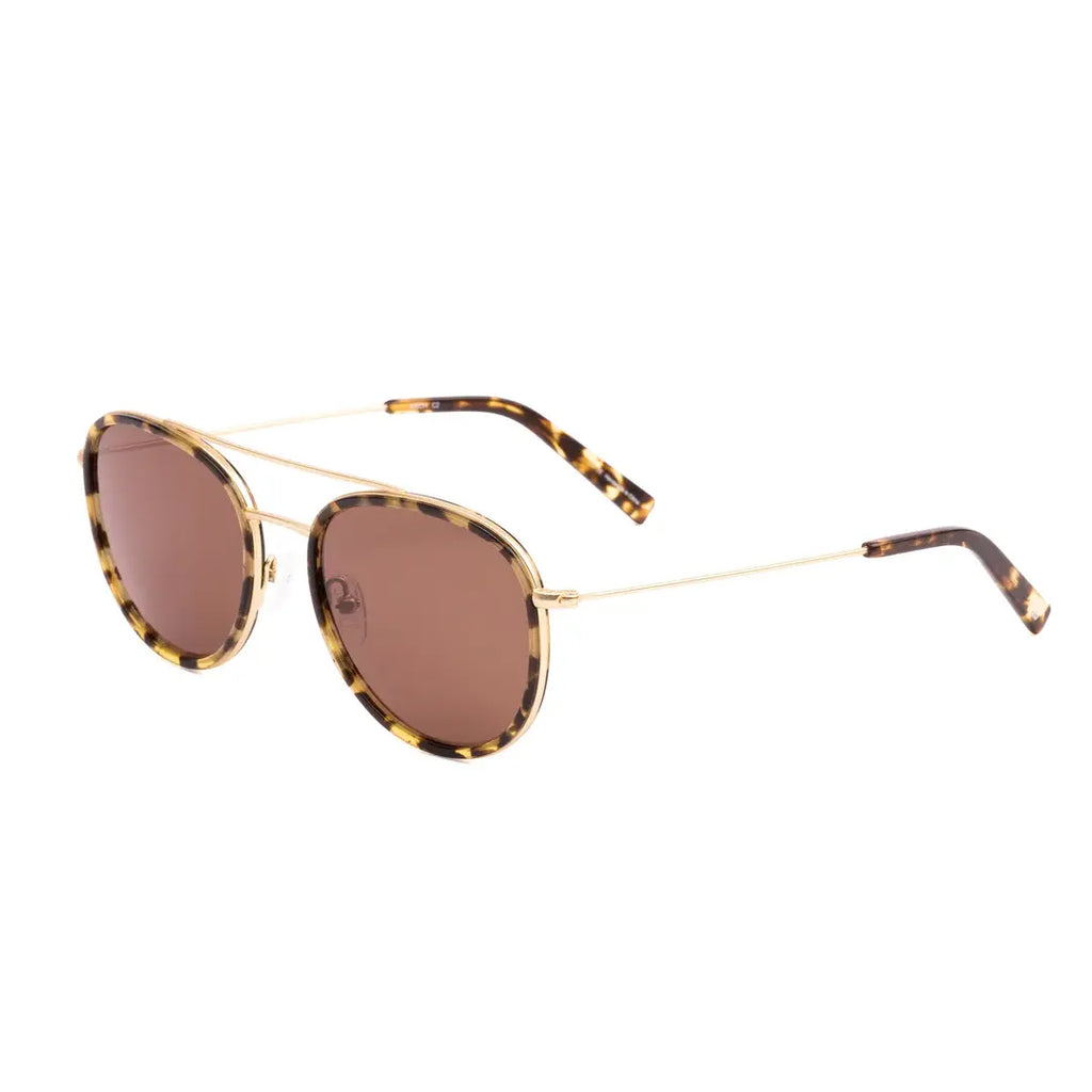 Sito Kitsch Polarized Sunglasses HoneyTortGold Coffee