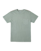 RVCA PTC 2 PIGMENT TEES GHZ S