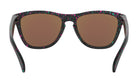 Oakley Frogskins Sunglasses