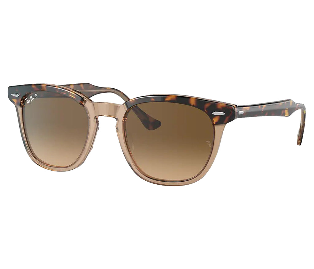 Ray Ban Hawkeye Polarized Sunglasses