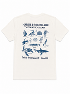IWS Marine Life SS Tee Boca XL