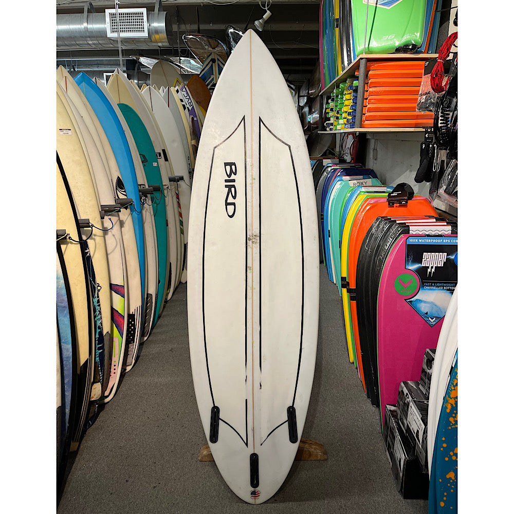 Bird Surfboards 6ft0in, Used | Island Water Sports