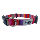 Salty Paws Surfing Dog Collar | Designs for Beach Dogs,  Floral, Fishing, Surfing, Hawaiian,