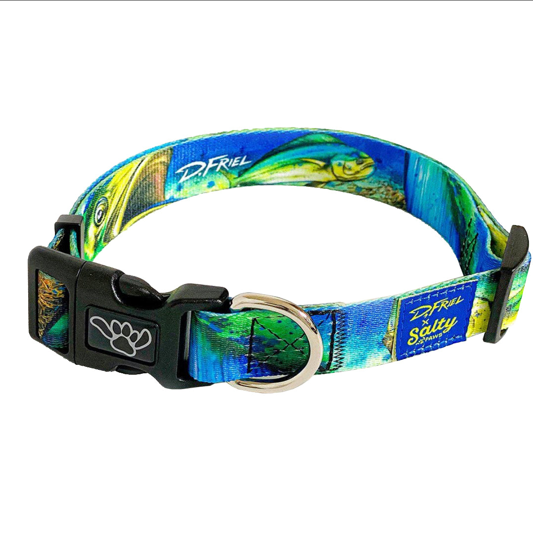 Salty Paws Surfing Dog Collar | Designs for Beach Dogs,  Floral, Fishing, Surfing, Hawaiian,  MahiPrint M