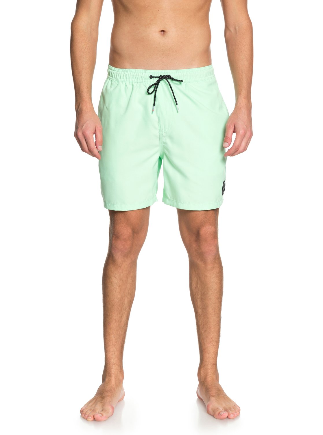Quiksilver Every Day 17" Volley Shorts