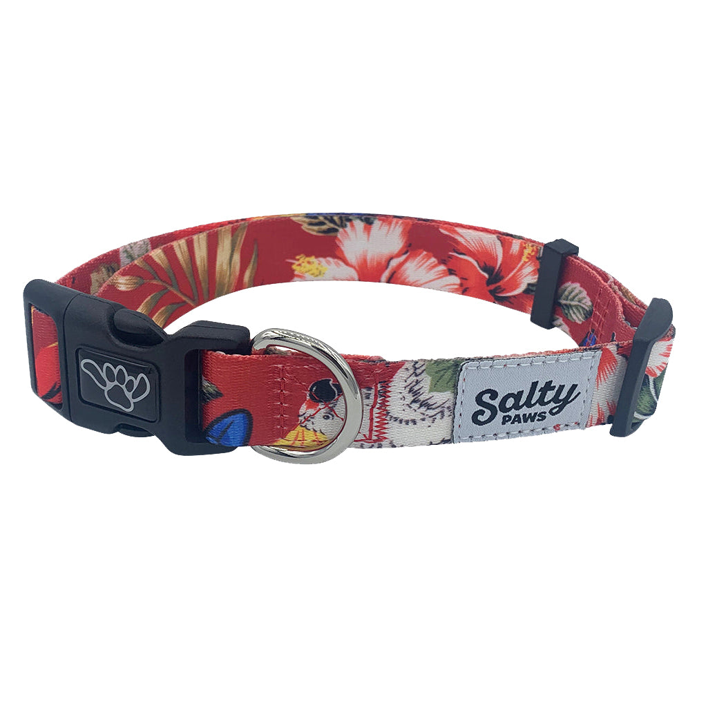 Salty Paws Surfing Dog Collar | Designs for Beach Dogs,  Floral, Fishing, Surfing, Hawaiian,  Red Birds S