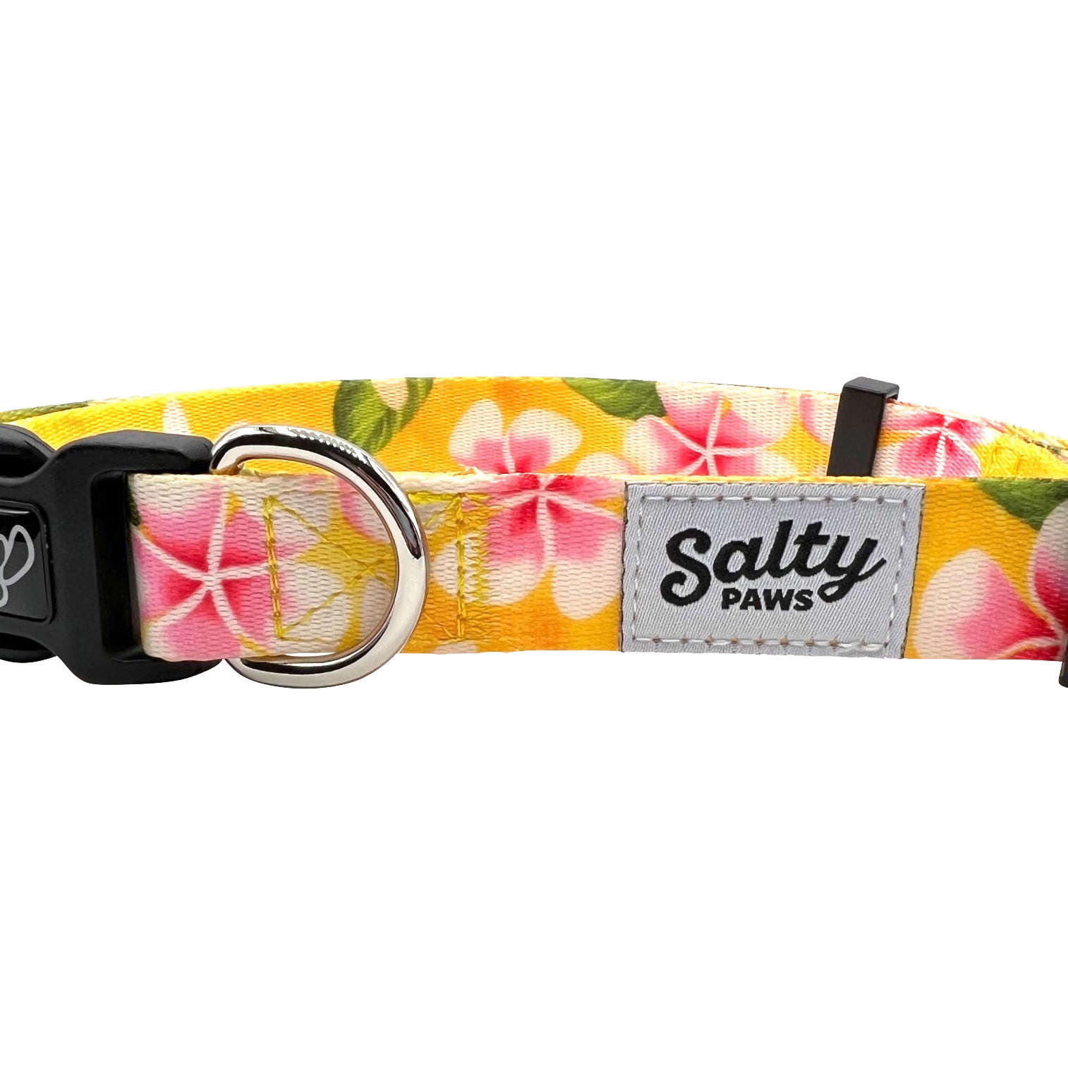 Salty Paws Surfing Dog Collar | Designs for Beach Dogs,  Floral, Fishing, Surfing, Hawaiian,  Yellow Floral S