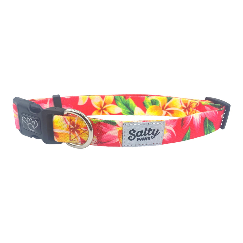 Salty Paws Surfing Dog Collar | Designs for Beach Dogs,  Floral, Fishing, Surfing, Hawaiian,  Pink Floral L