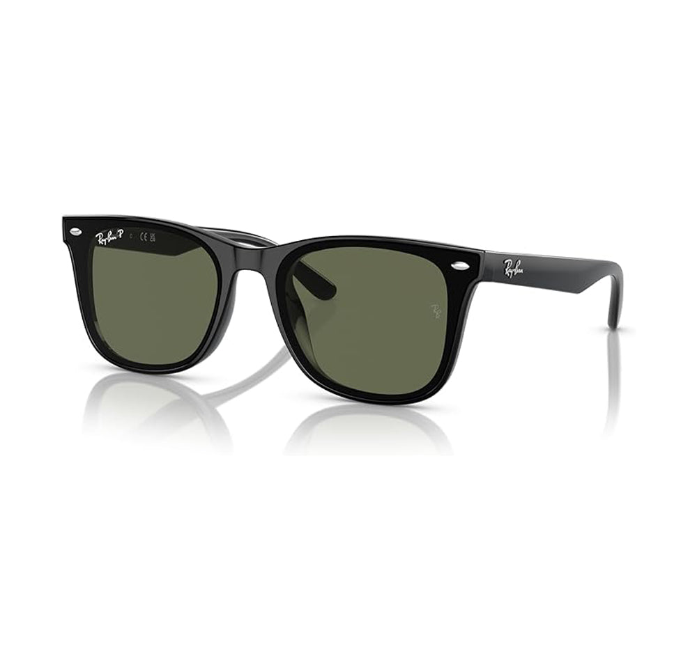Ray-Ban 0RB4420 Polarized Sunglasses Black DkGreen