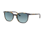 Ray Ban Elliot Sunglasses