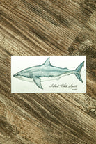 Island Water Sports Great White Shark Watercolor Vinyl Sticker MULTI 6" X 3"